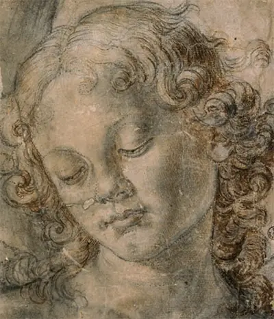 Study for the Head of an Angel Andrea del Verrocchio